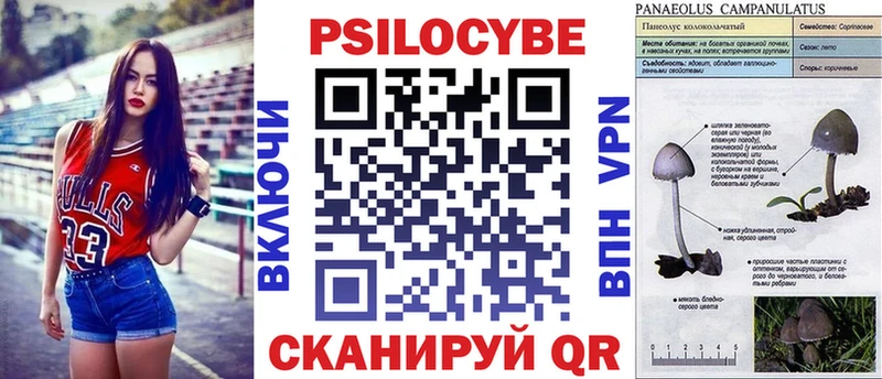 Псилоцибиновые грибы Psilocybe  купить   мориарти как зайти  Щёлково 